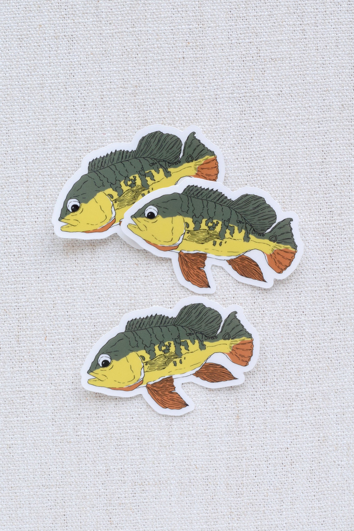 Peacock Bass Sticker