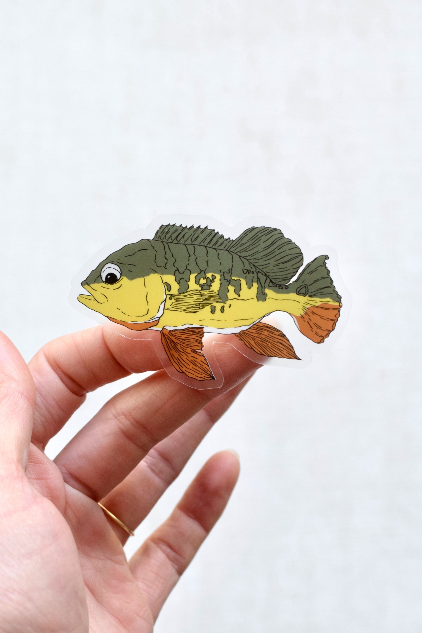 Peacock Bass Sticker