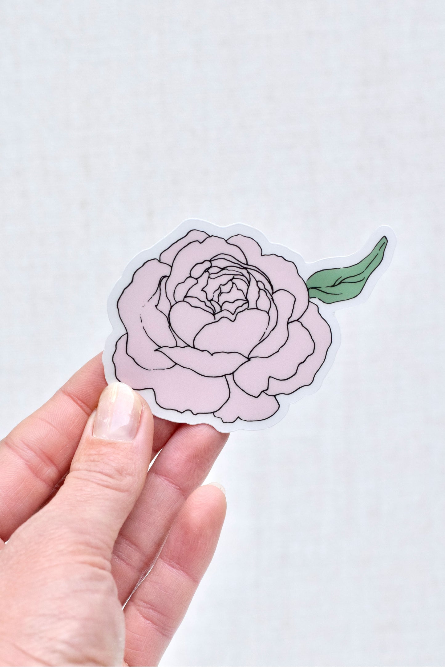 Blush Rose Sticker