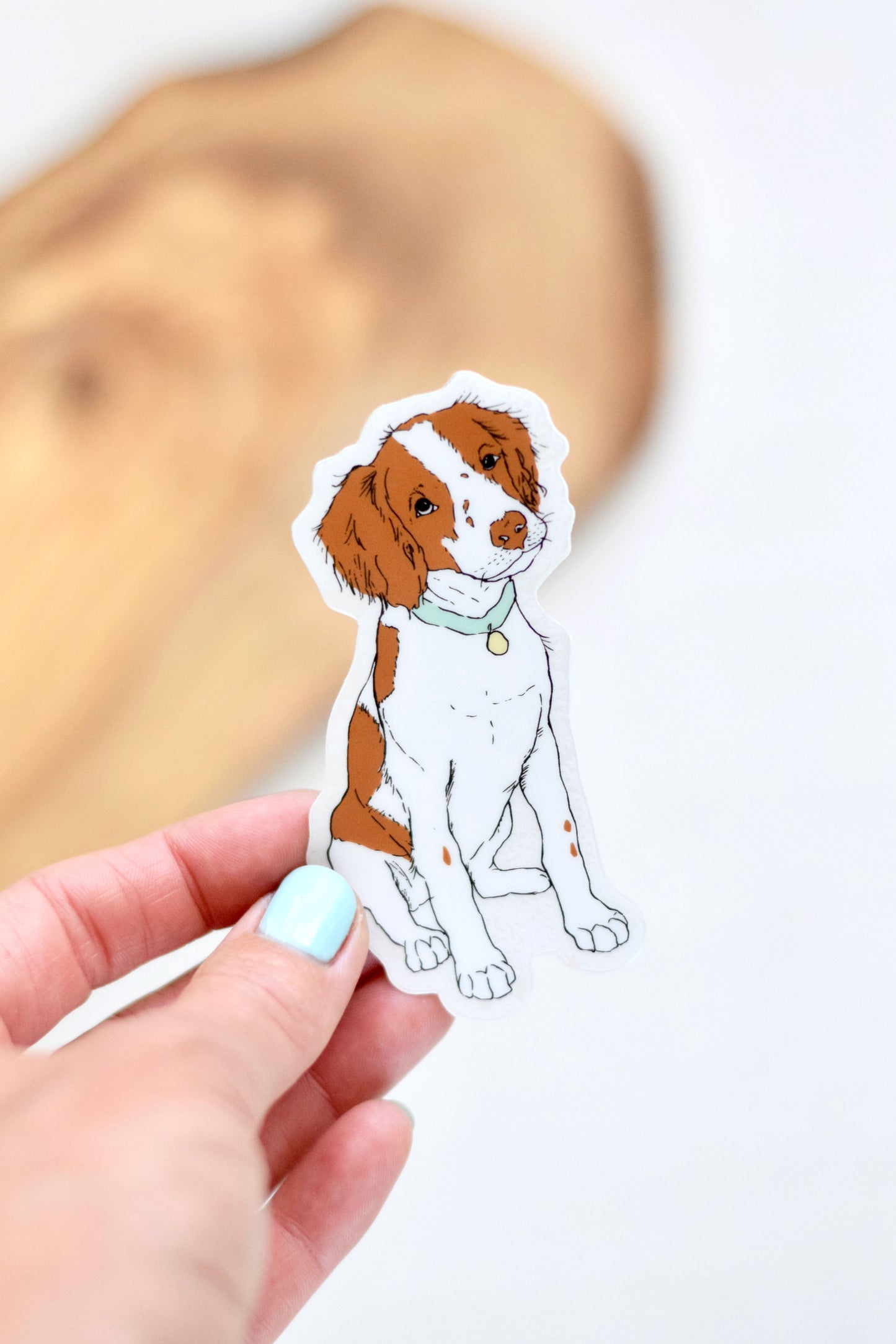 Brittany Spaniel Sticker