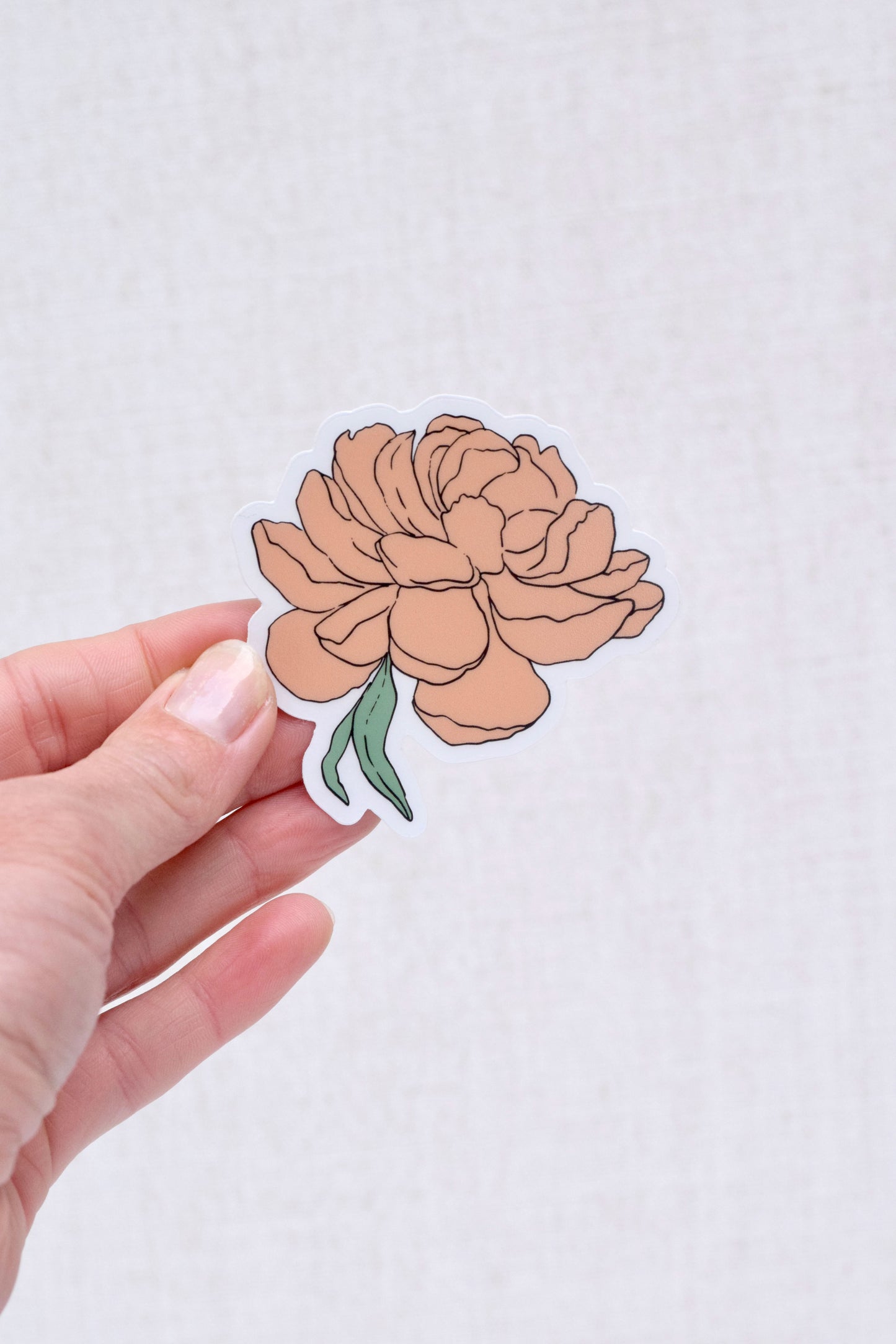 Coral Peony Sticker