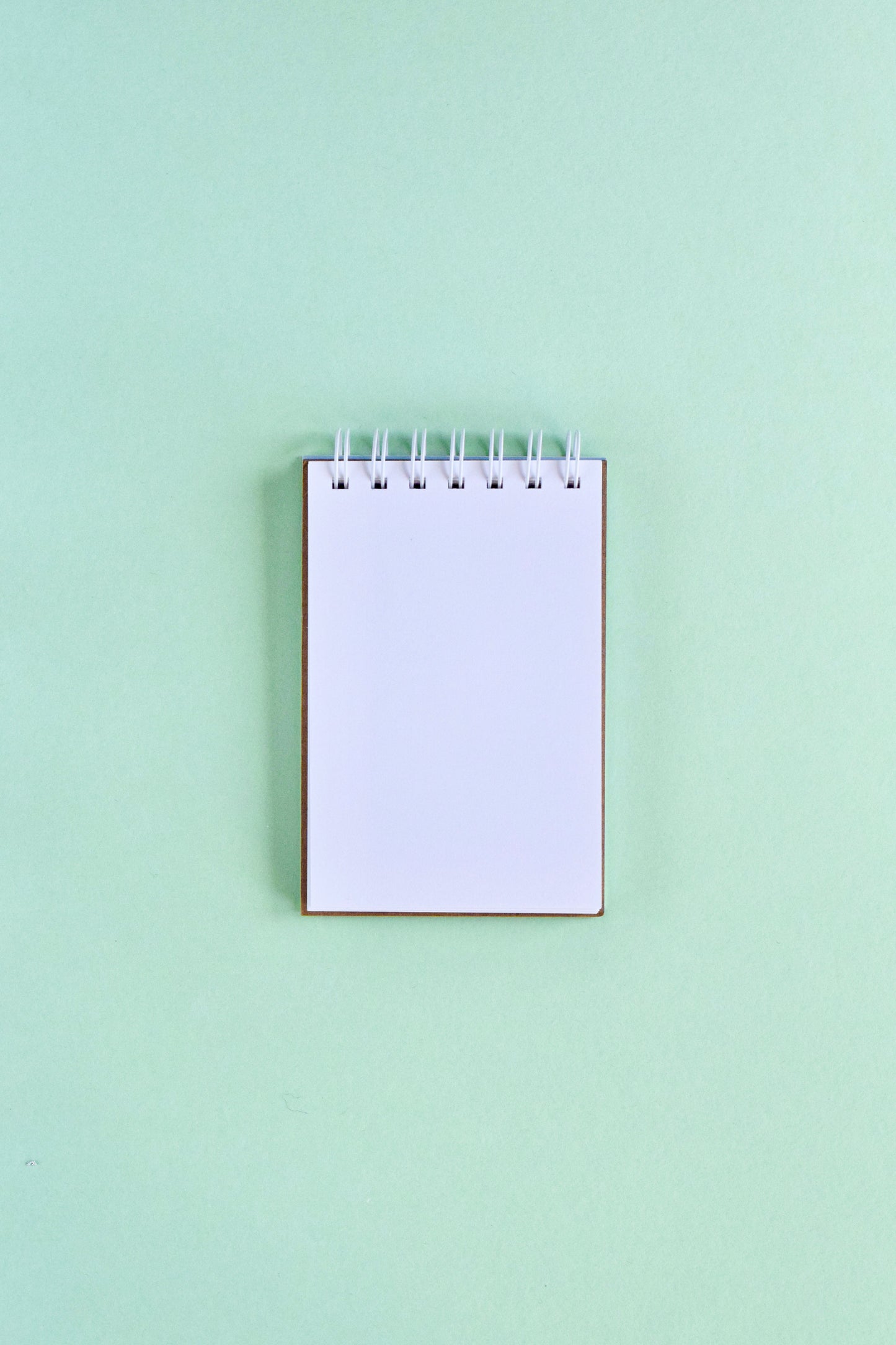 Honey Bee Petite Notes