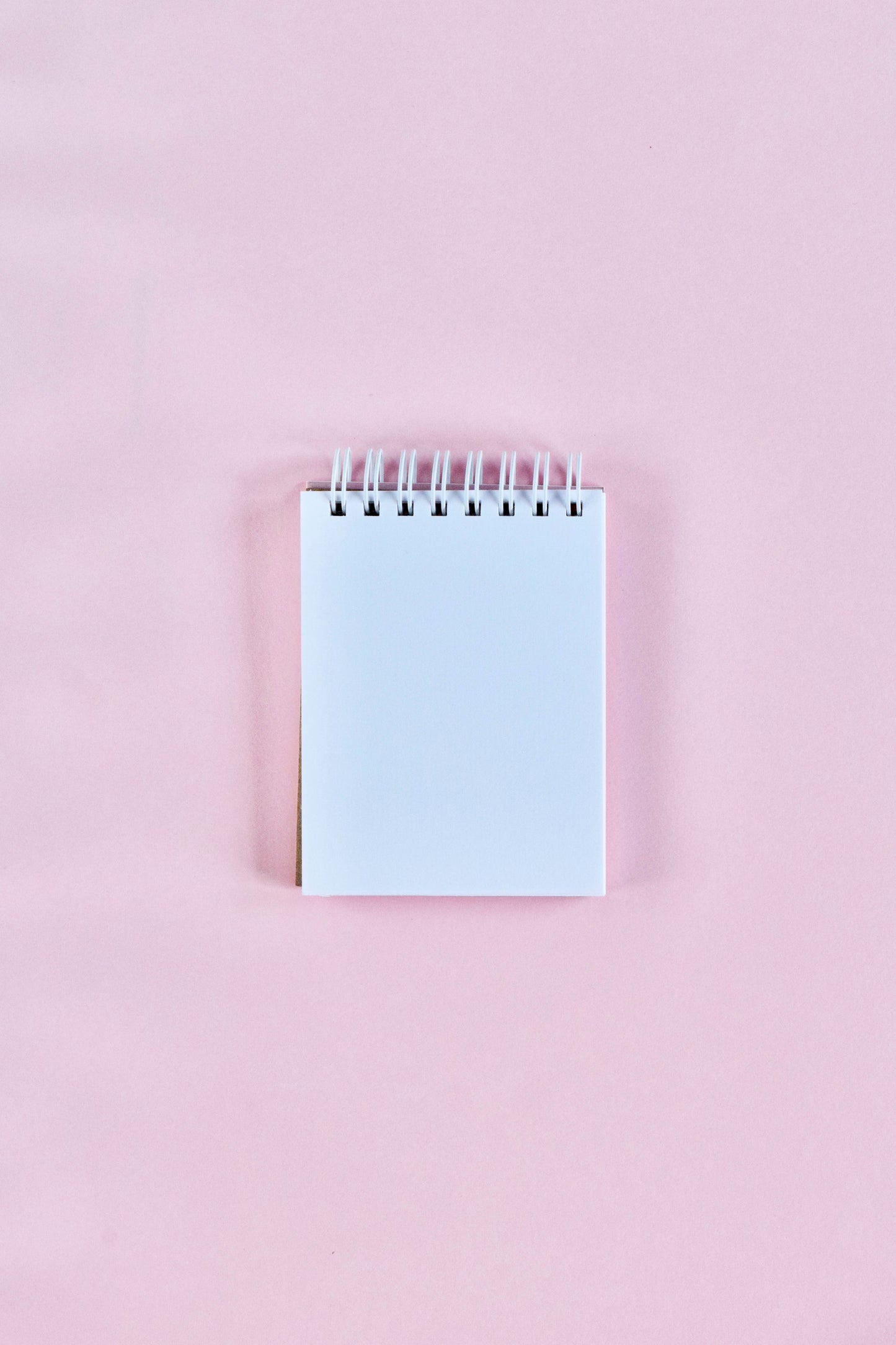 Blush Petite Notes