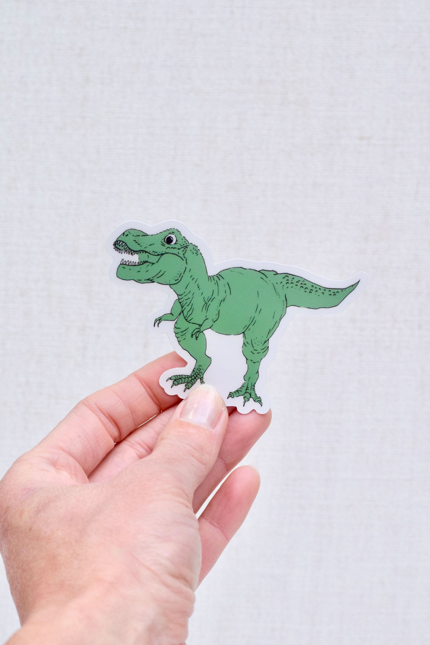 Dinosaur Sticker
