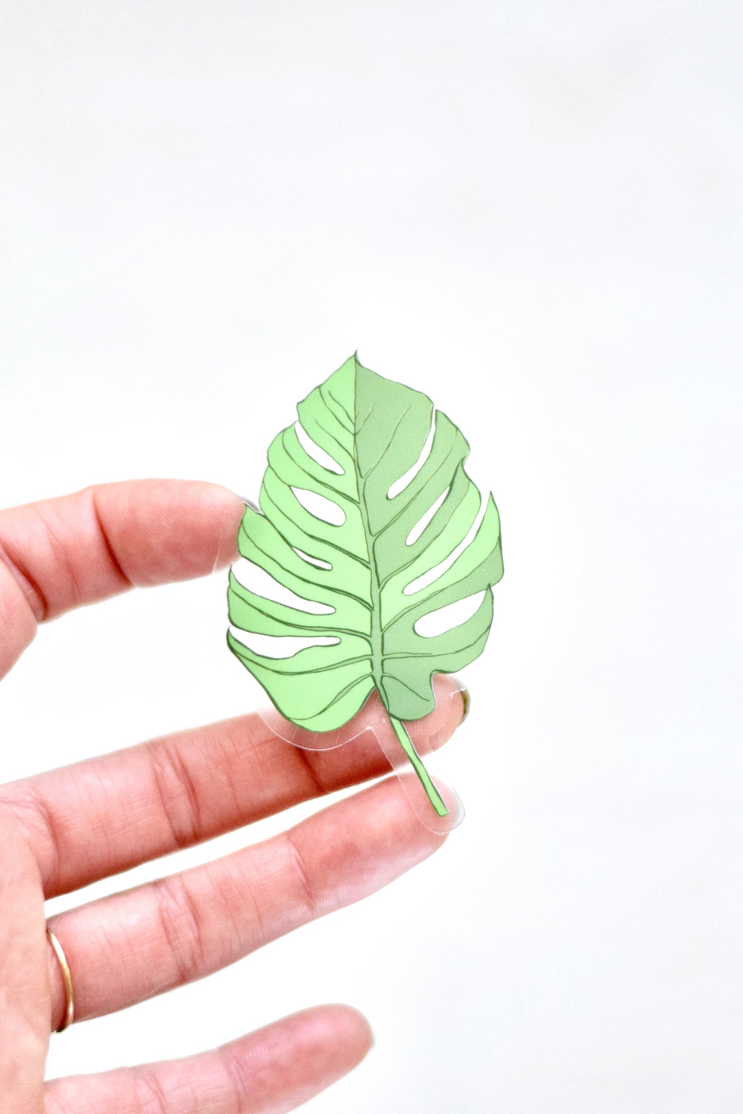 Monstera Leaf Sticker