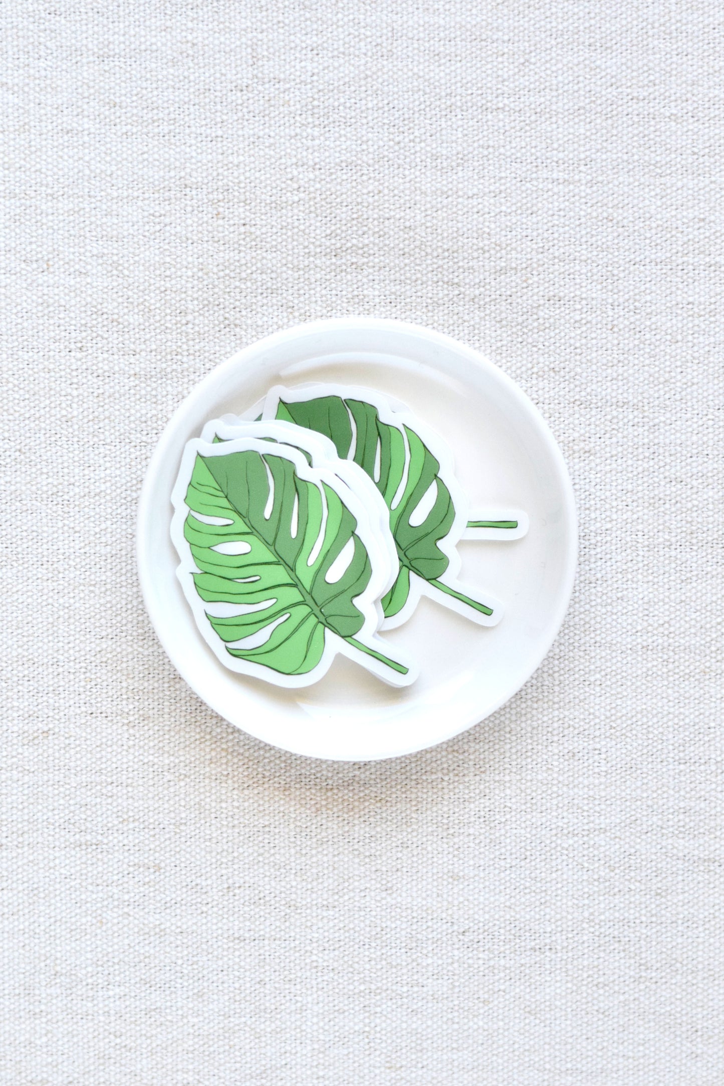 Monstera Leaf Sticker