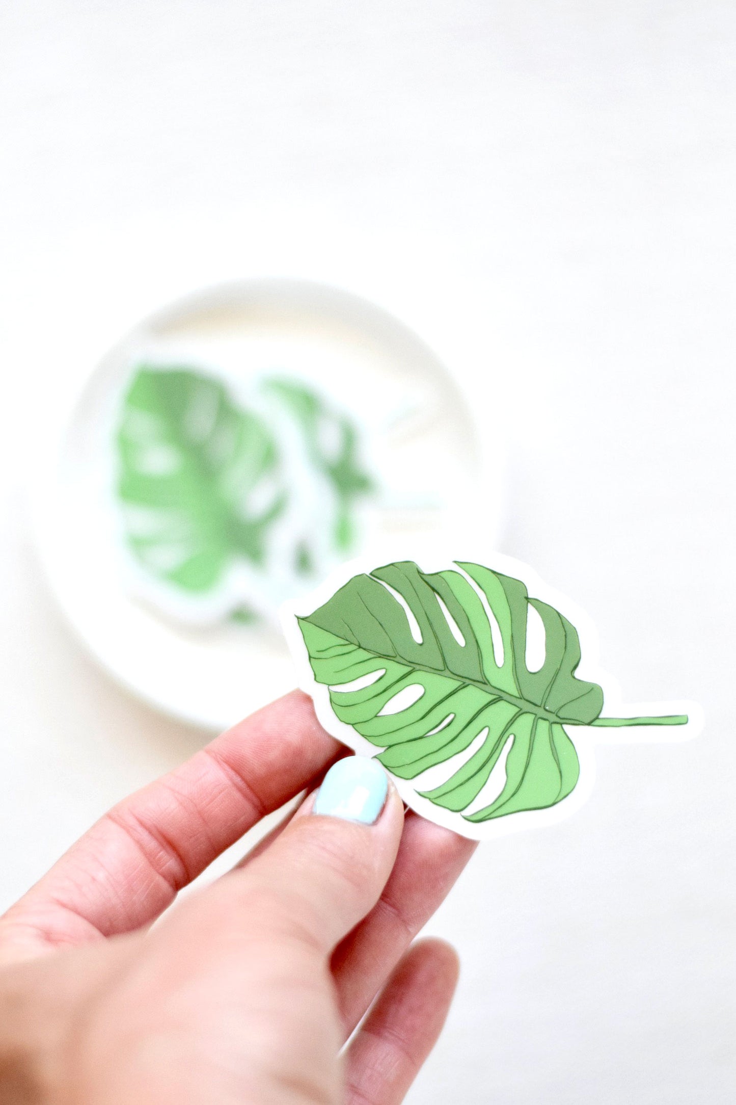 Monstera Leaf Sticker