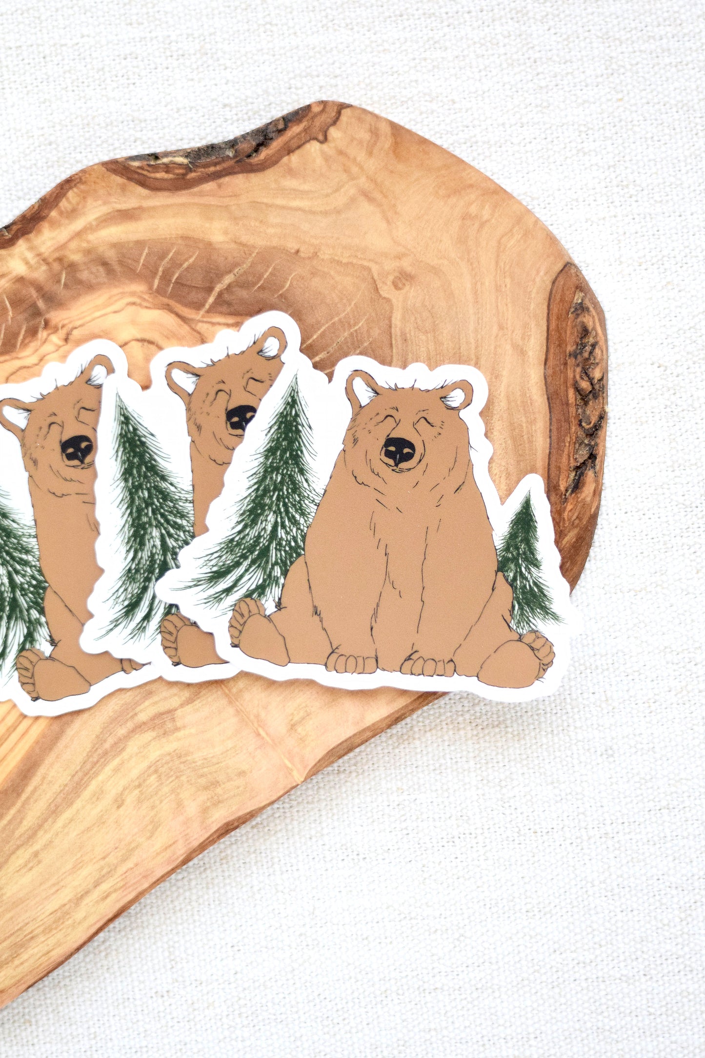 Woodland Bear Sticker