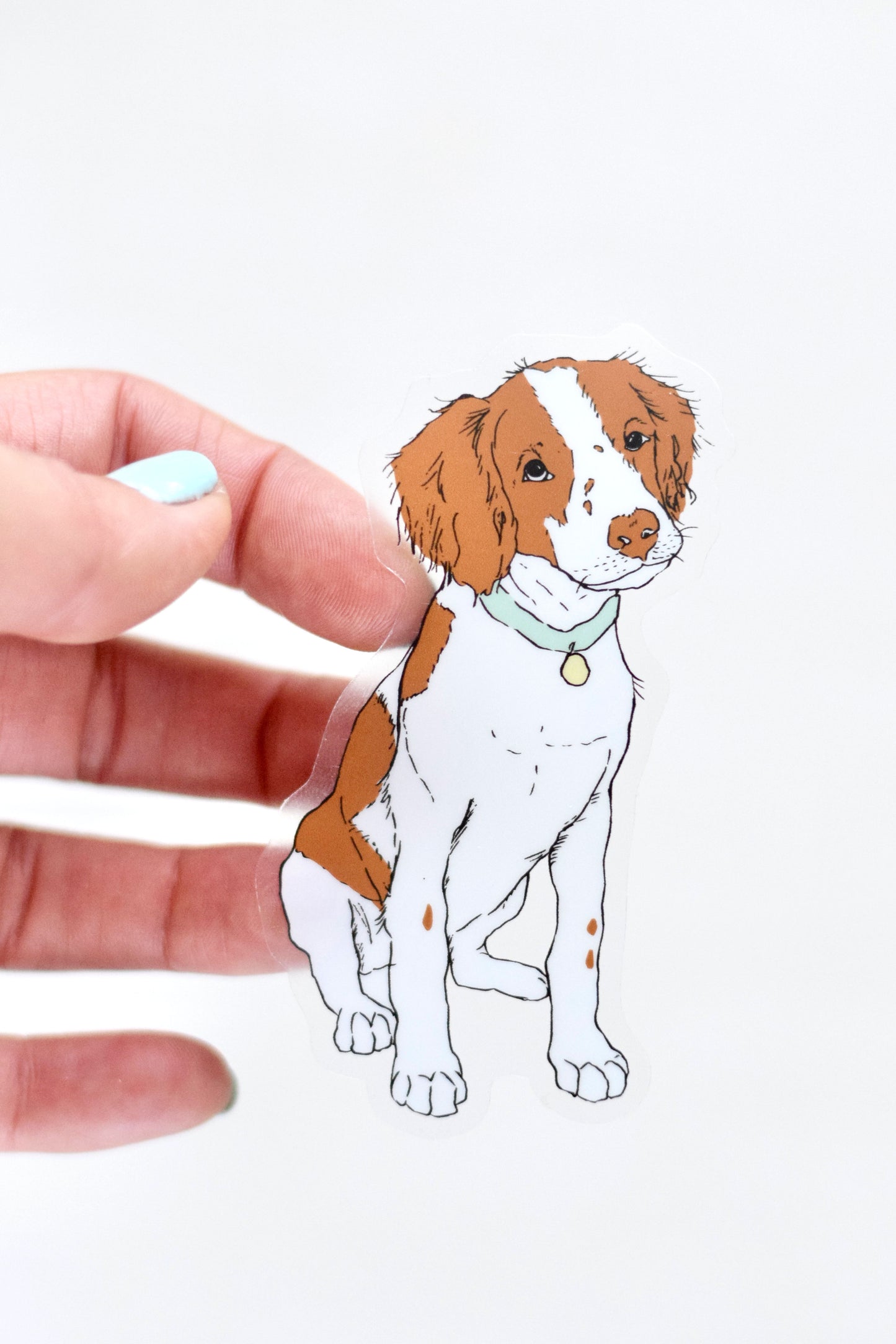Brittany Spaniel Sticker