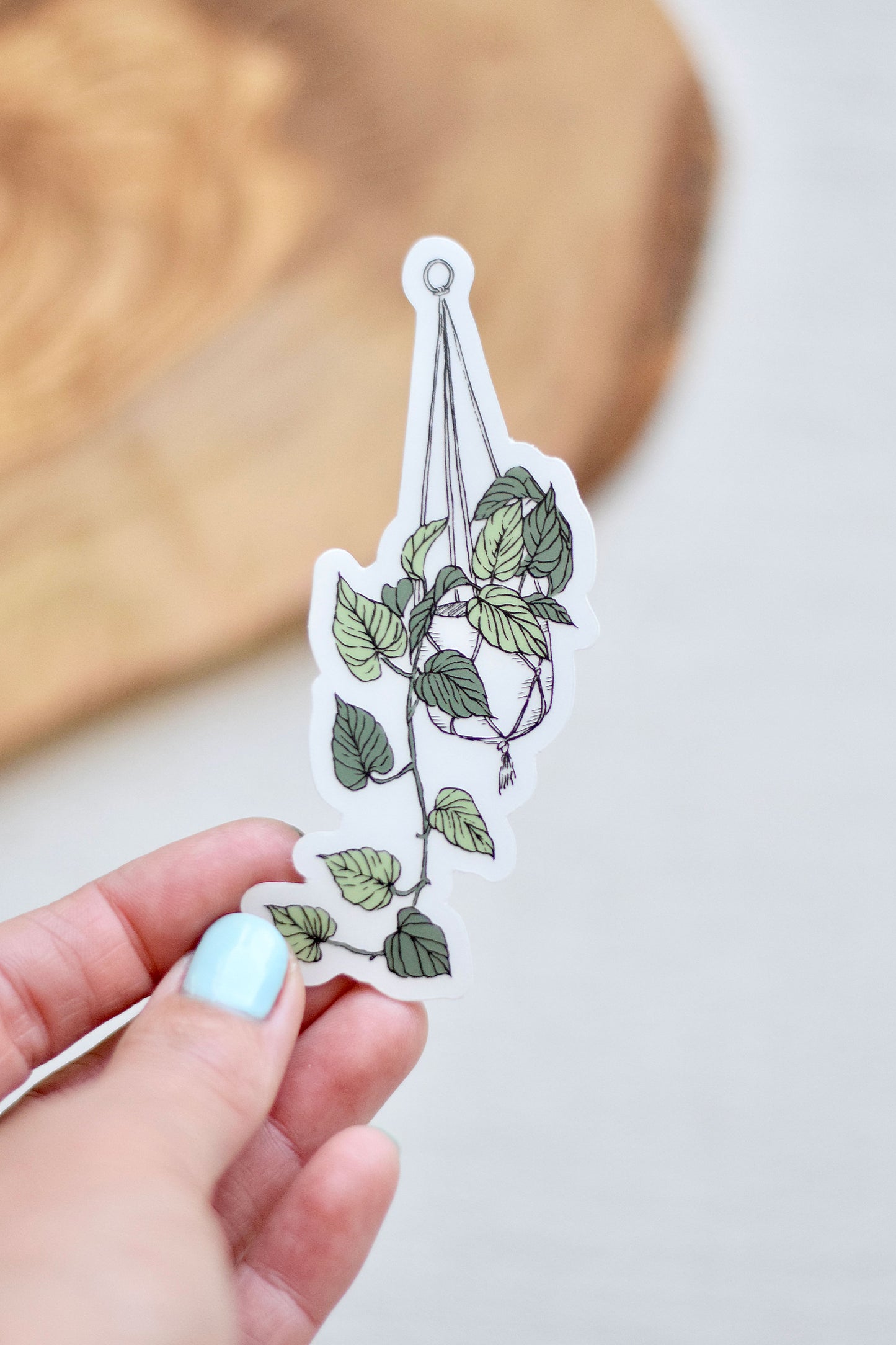 Hanging Plant Sticker