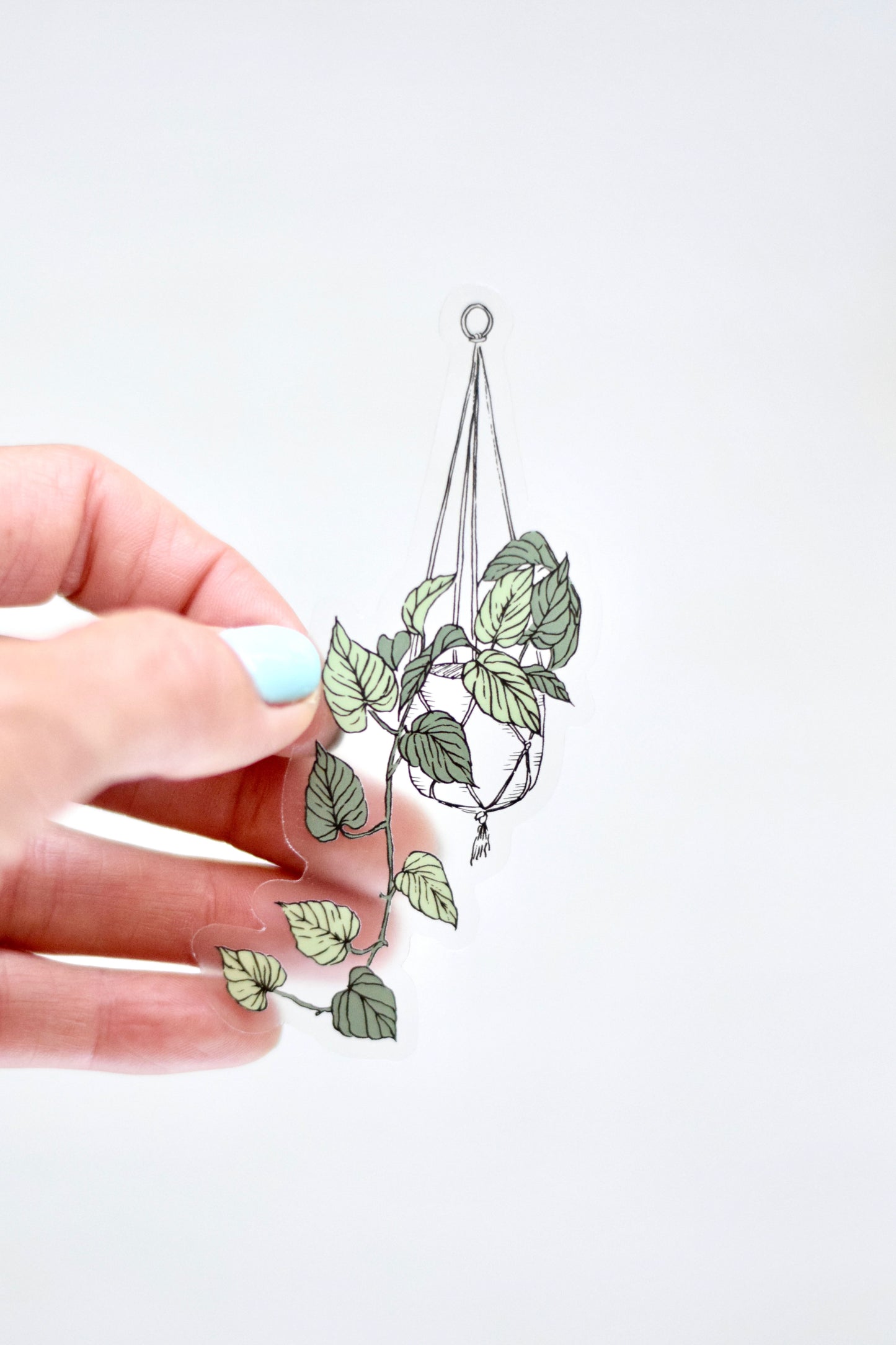 Hanging Plant Sticker