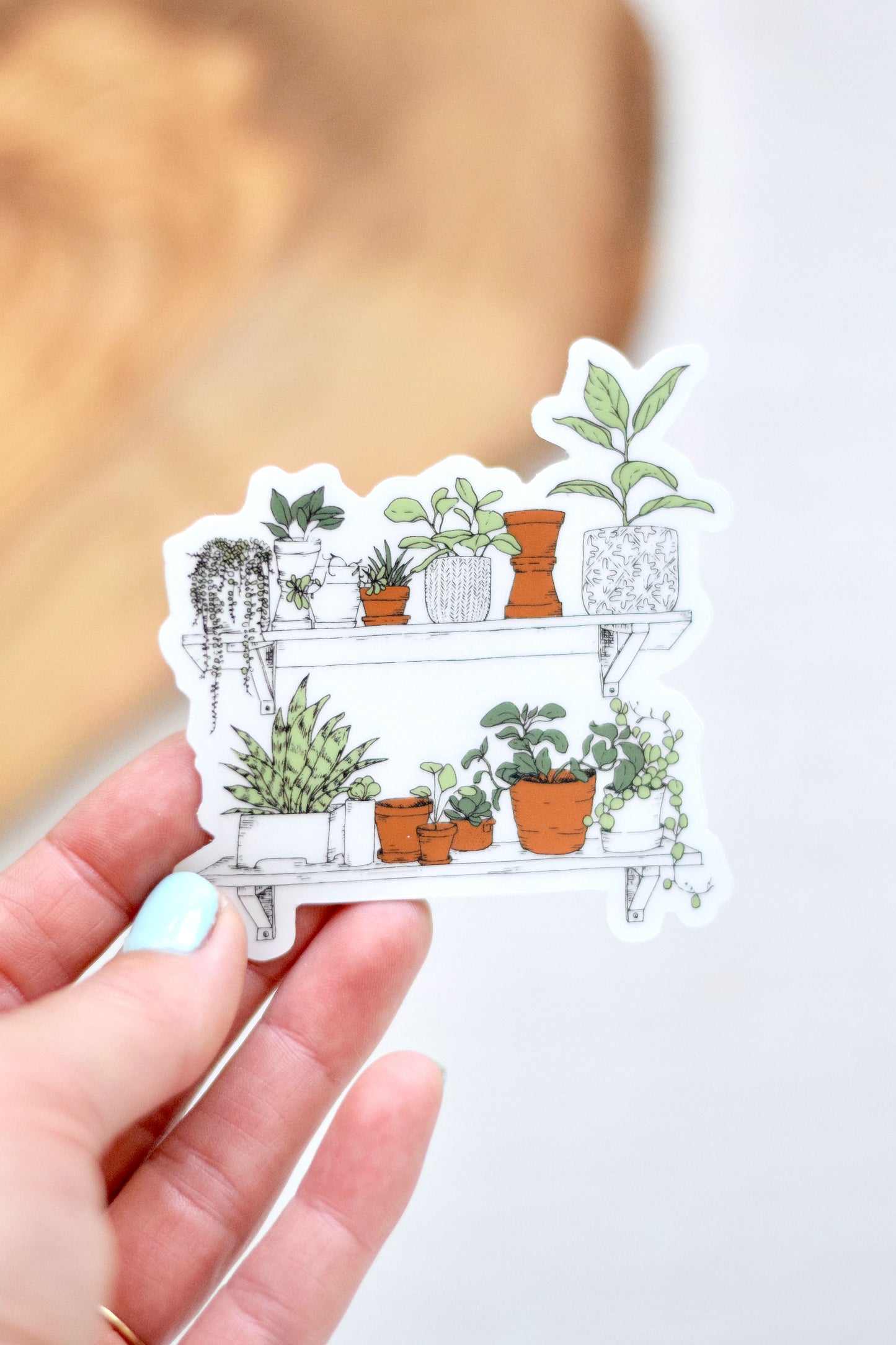 House Plants Sticker