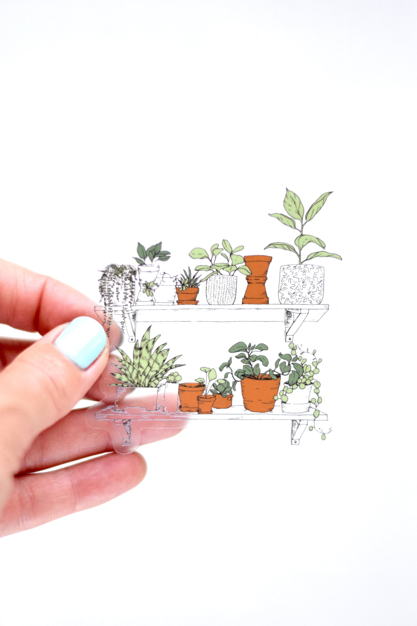 House Plants Sticker