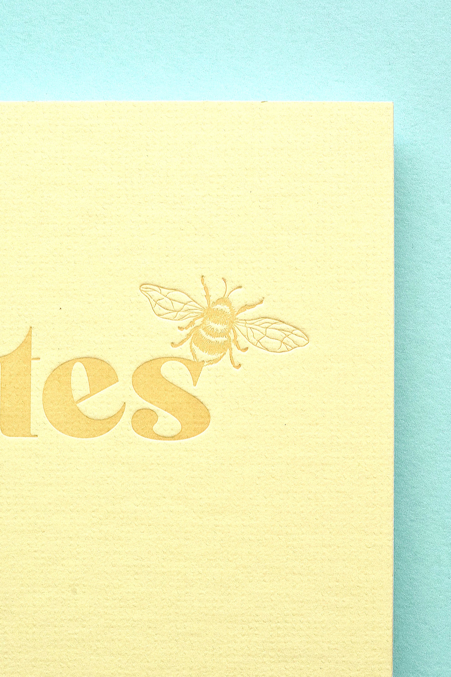 Large Honey bee Notebook