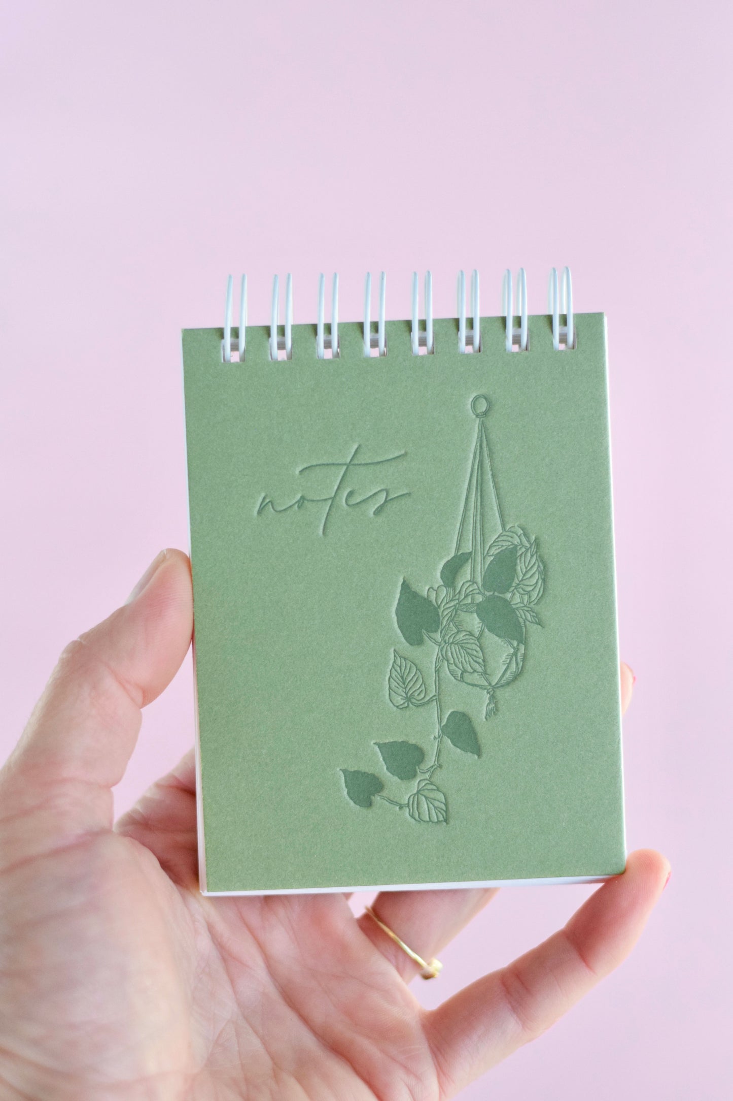 Hanging Plant Petite Notes
