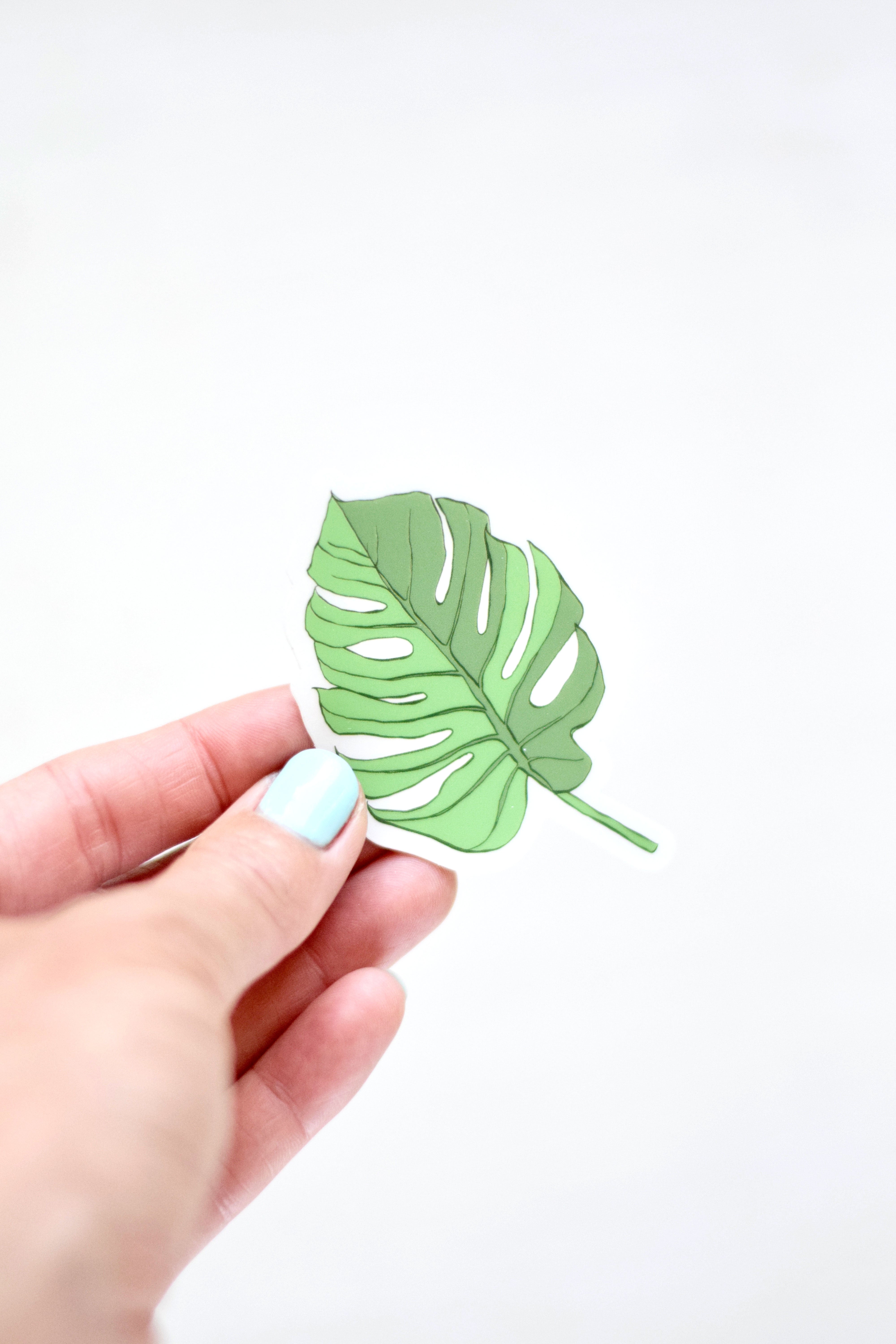 Monstera Leaf Sticker – Michelle Renee Co.