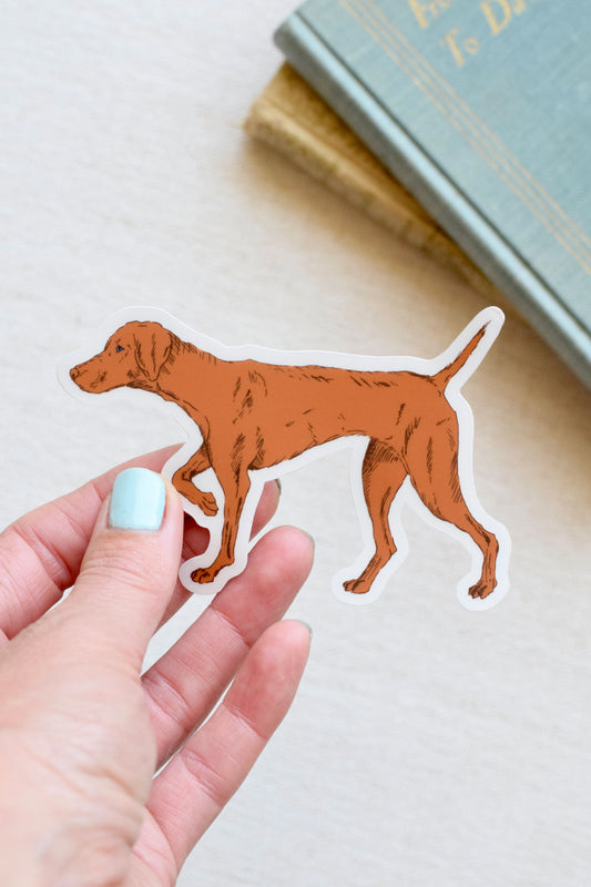 Vizsla Dog Sticker